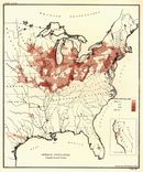 Geological Map of the United States