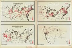 Four Small Maps of Ethnicity, Compiled from the Ninth Census